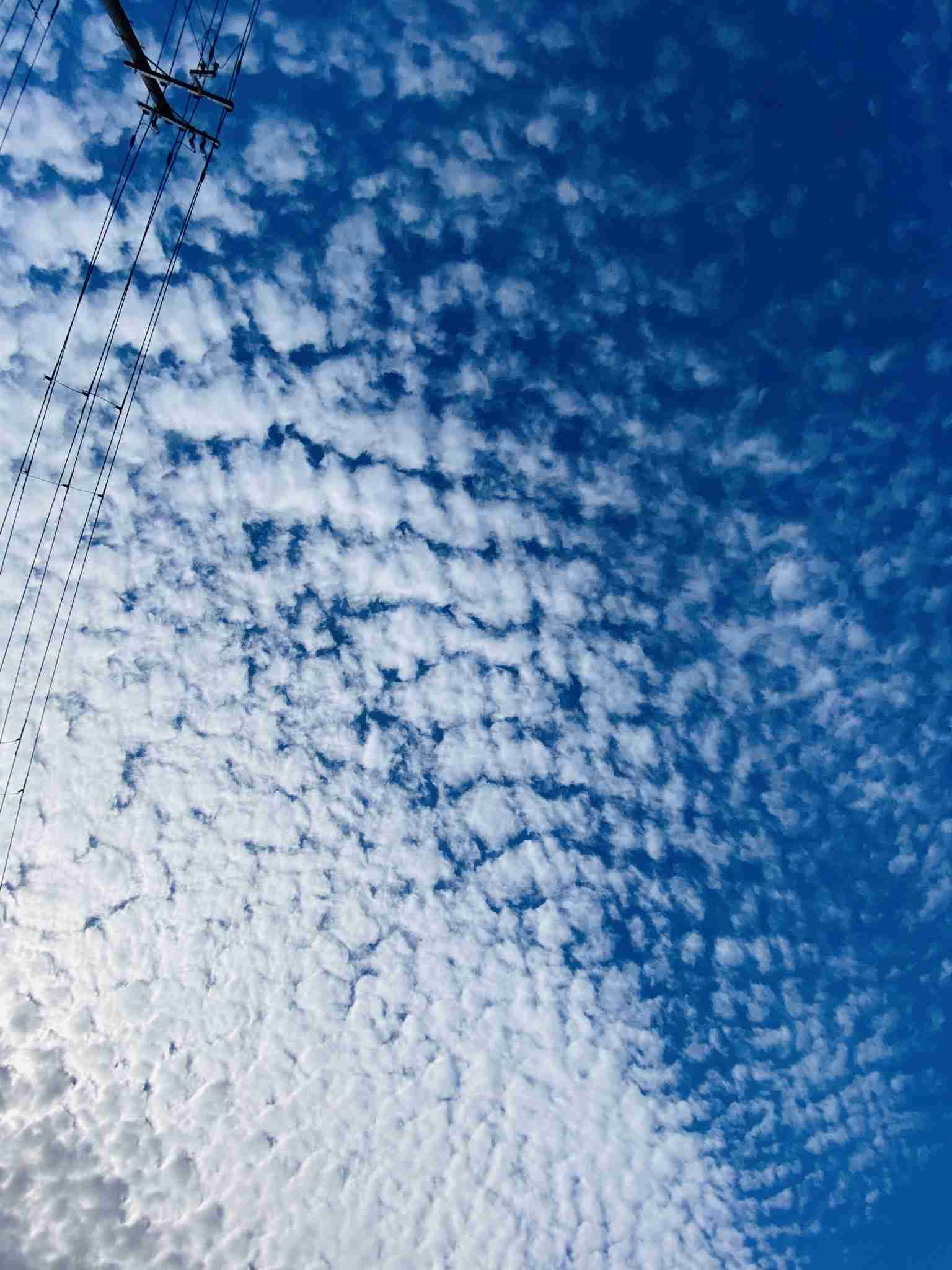 あなたが撮ったベストショット