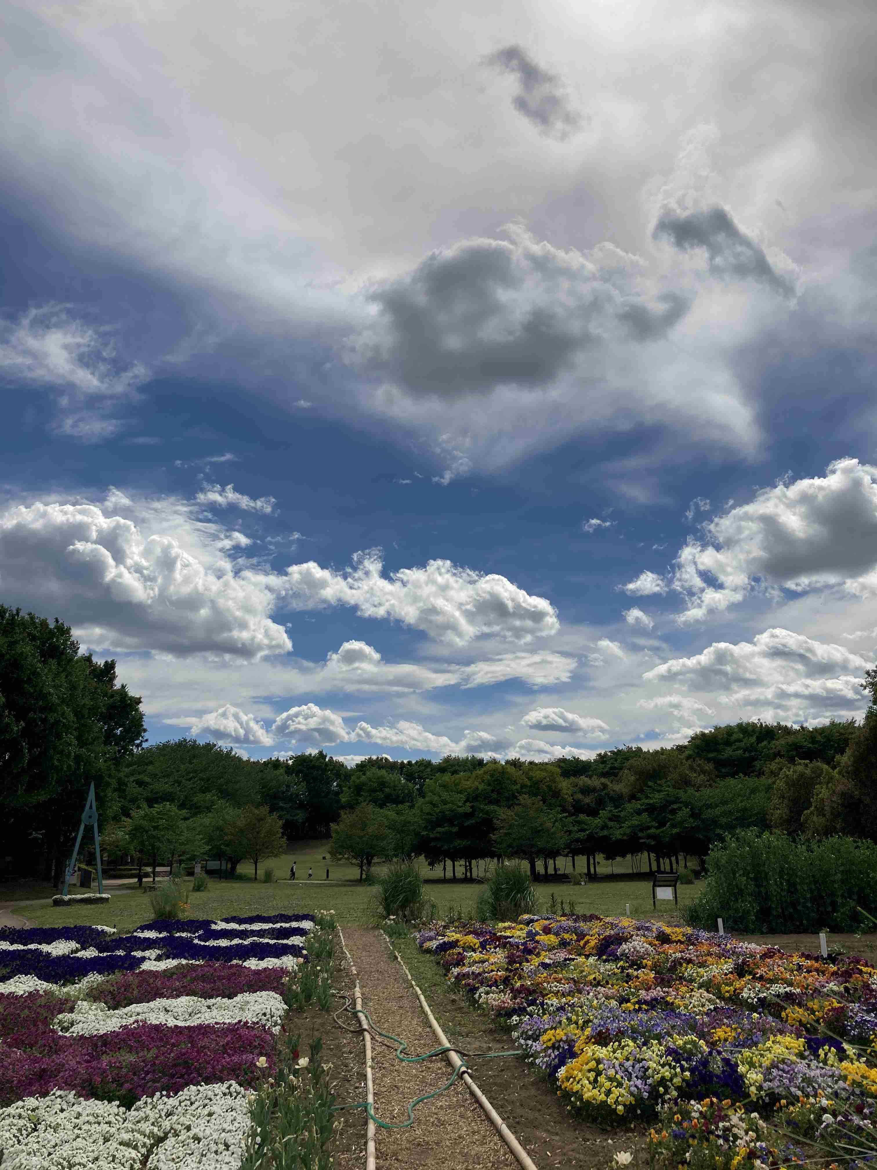 あなたが撮ったベストショット