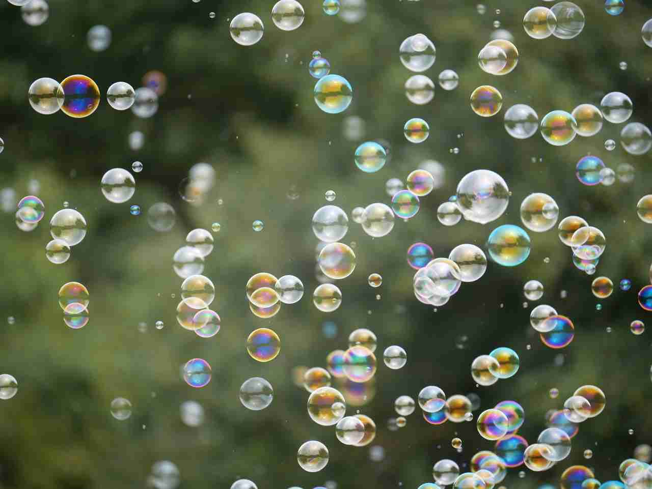 あなたが撮ったベストショット