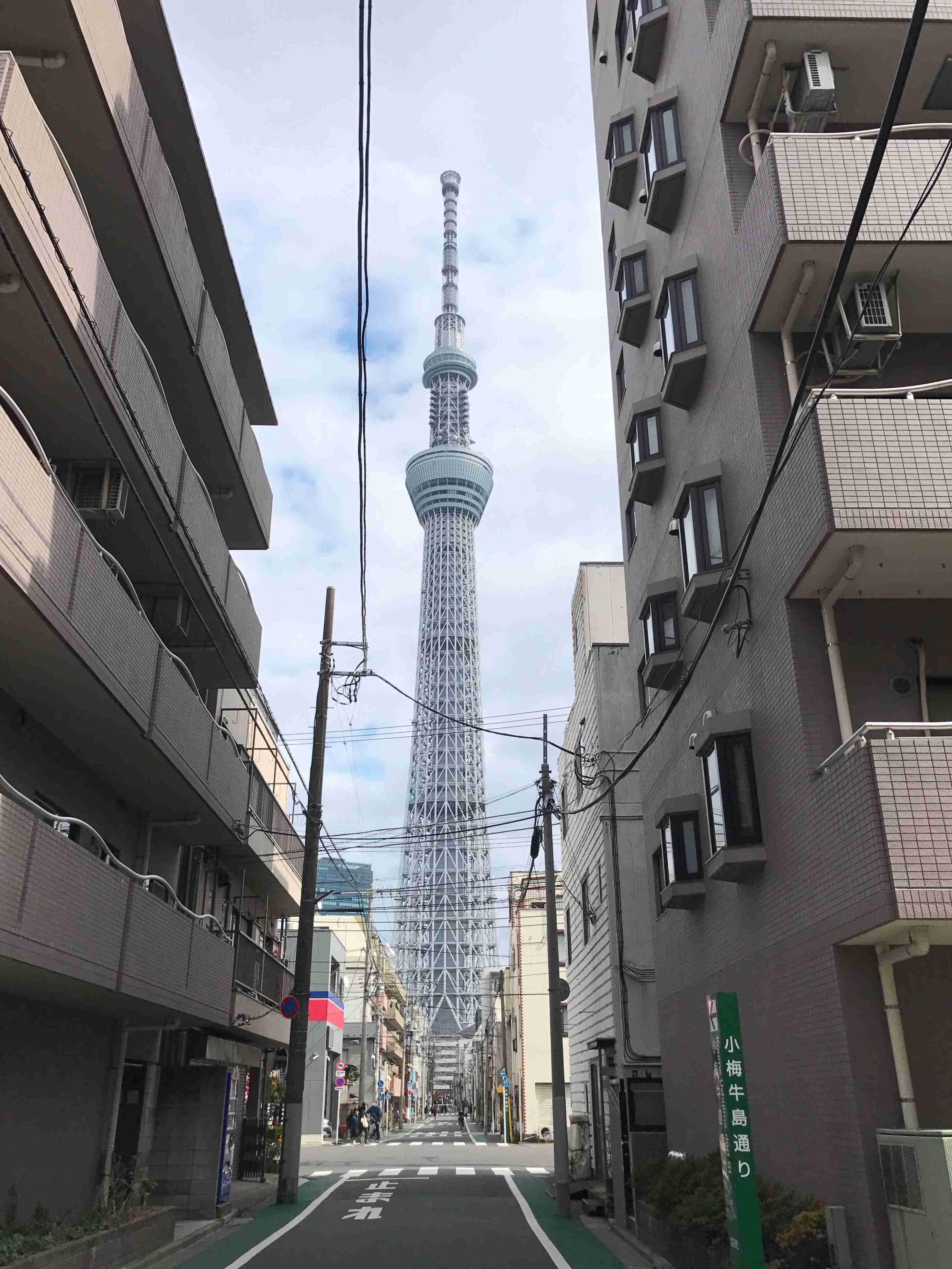 あなたが撮ったベストショット