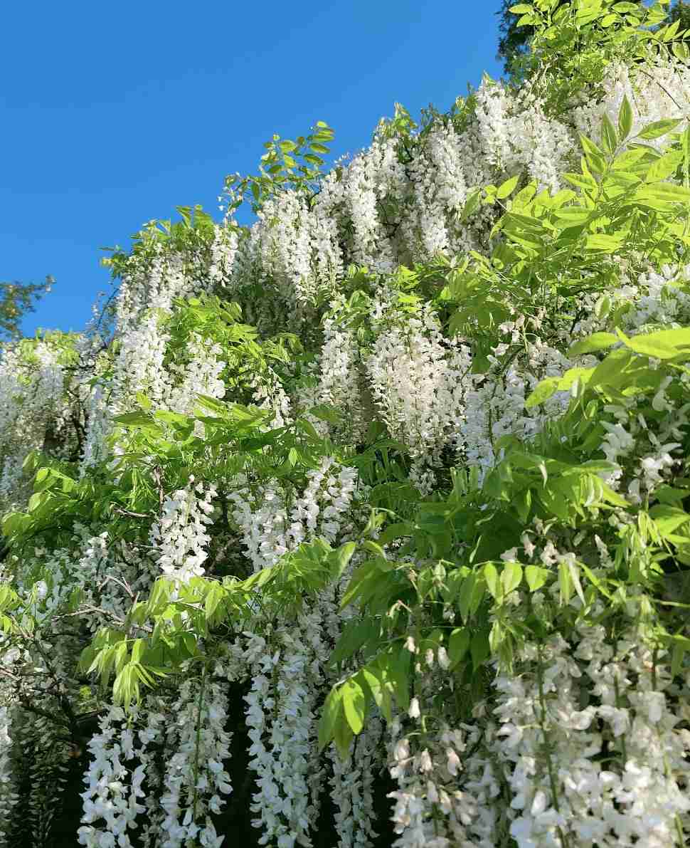 あなたが撮ったベストショット