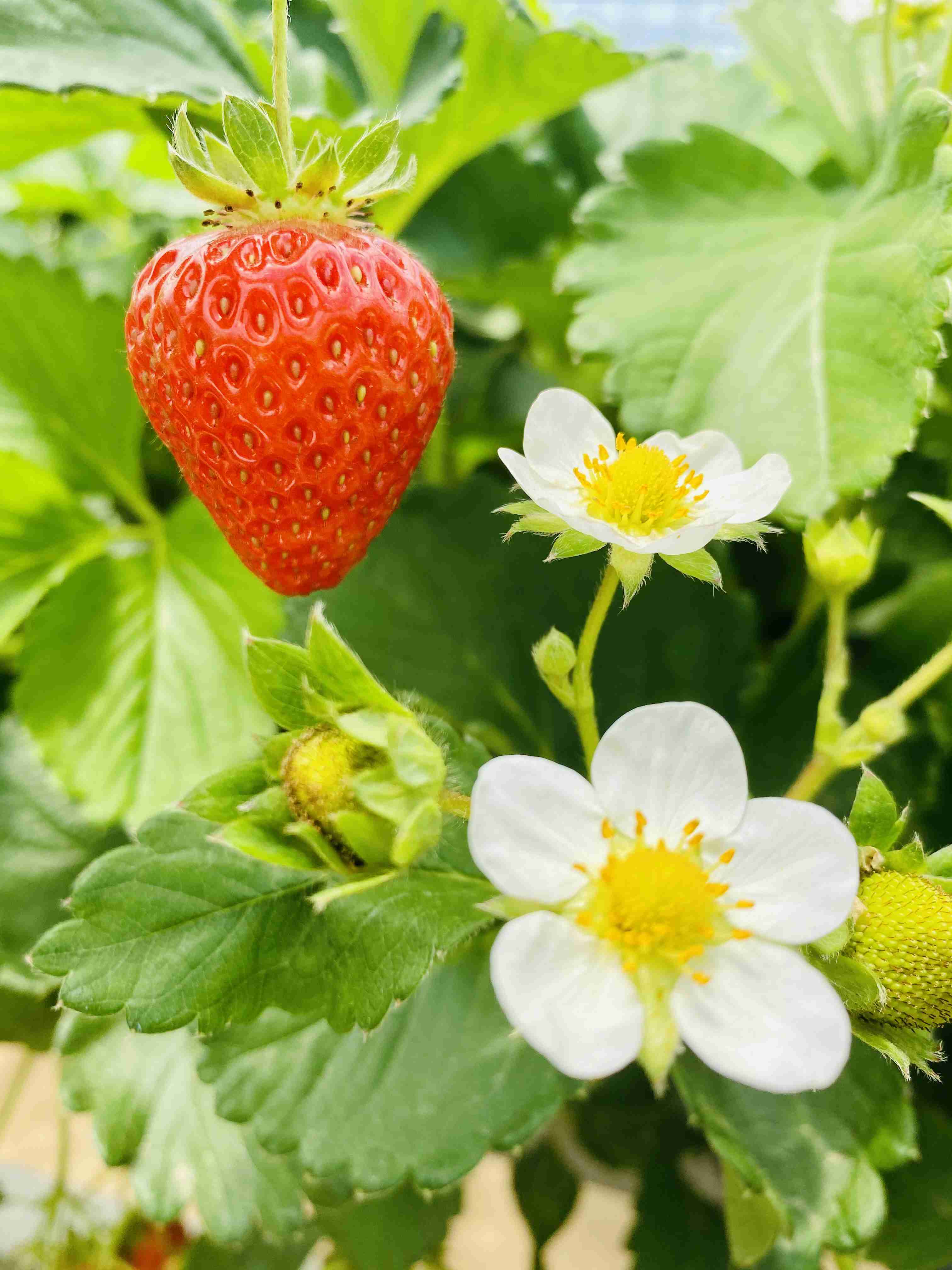 あなたが撮ったベストショット