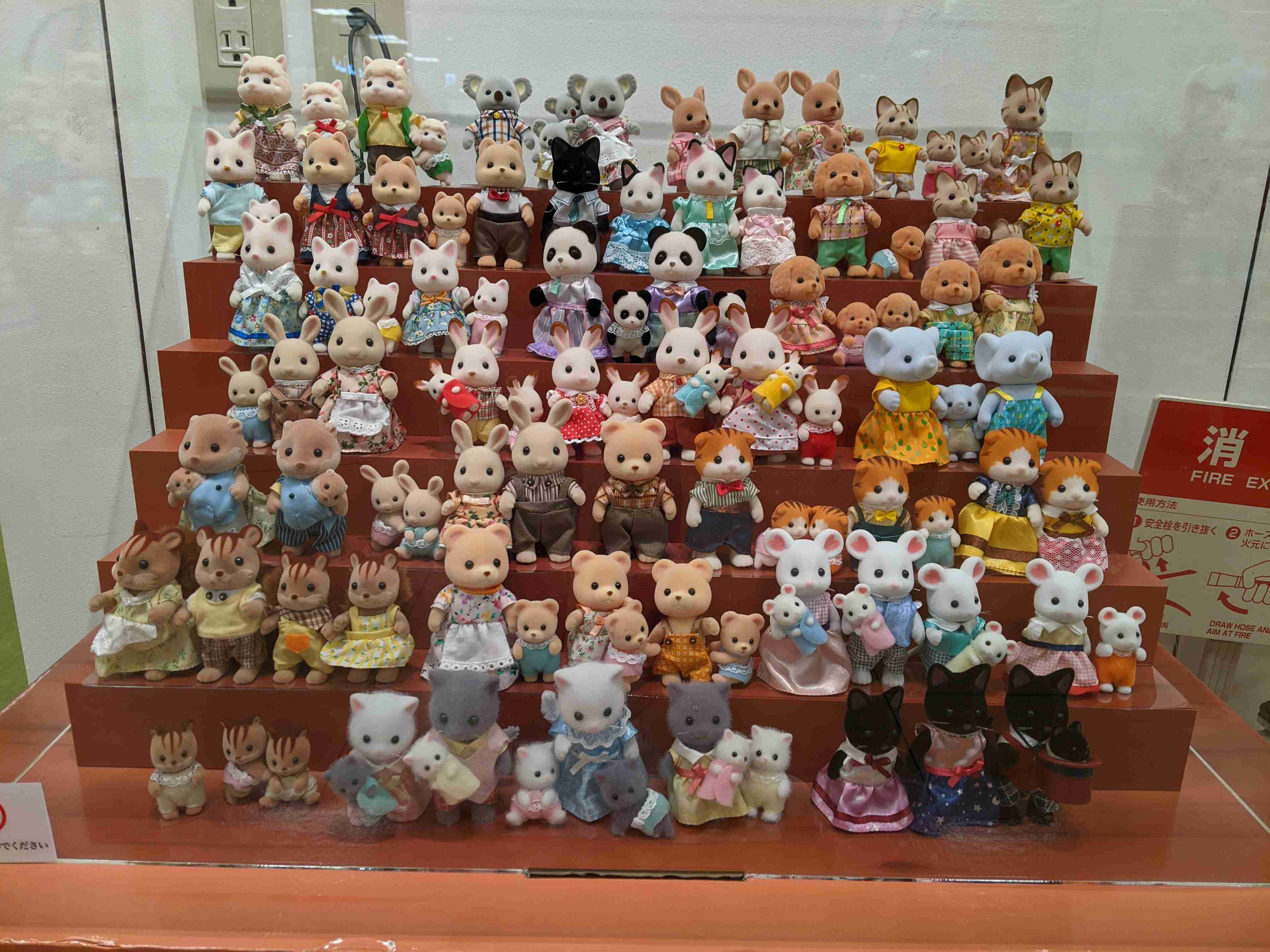 あなたが撮ったベストショット