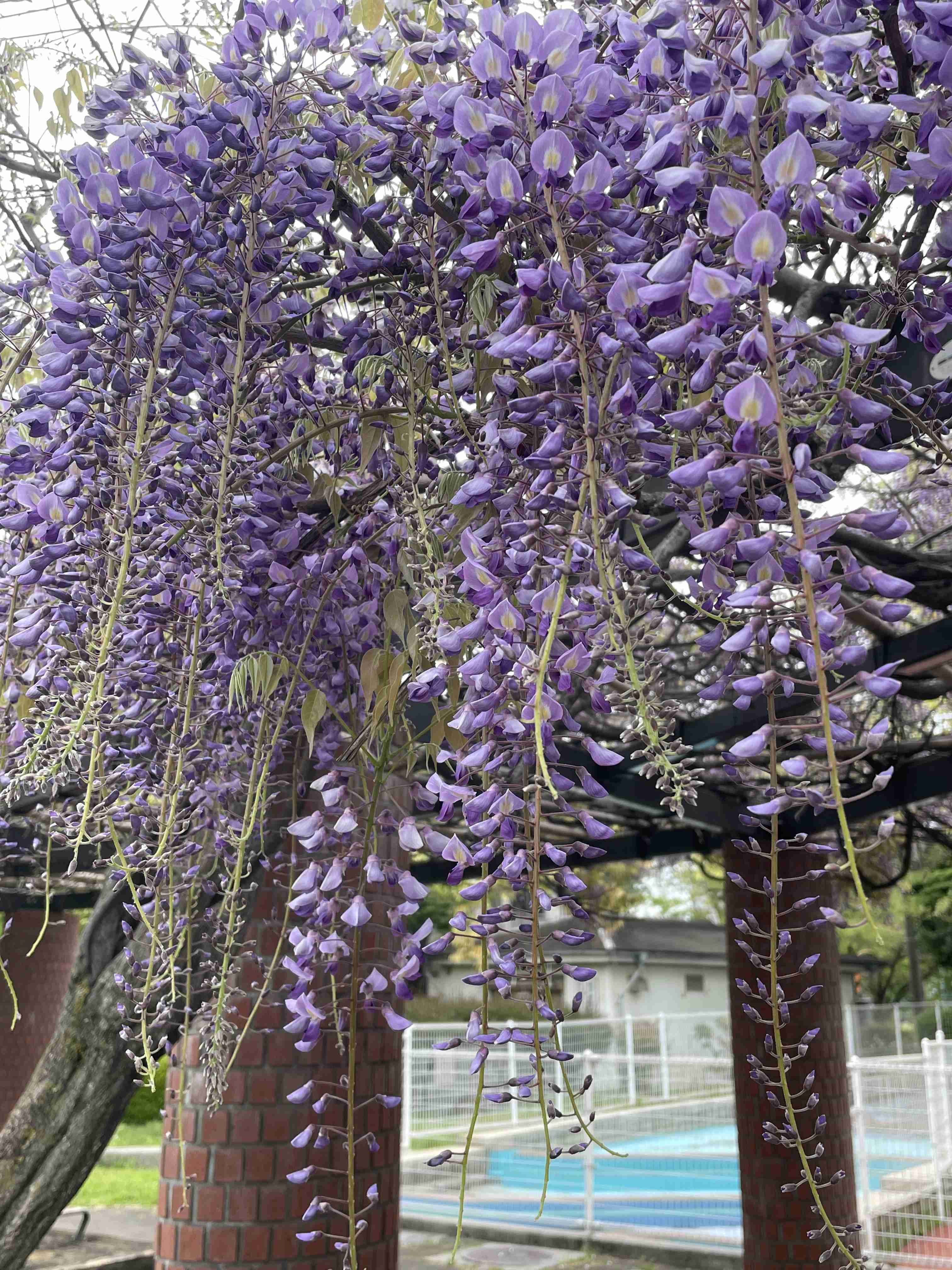 あなたが撮ったベストショット