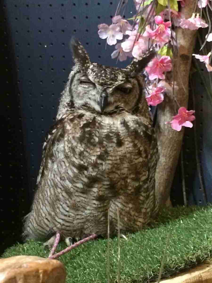 あなたが撮ったベストショット