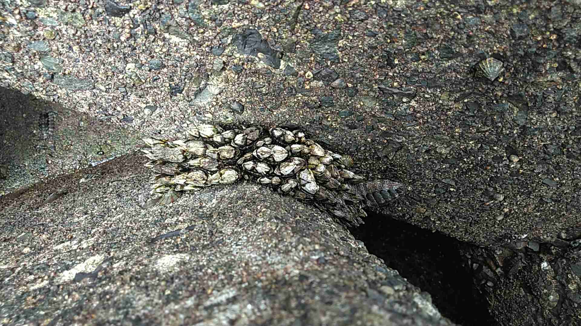 あなたが撮ったベストショット