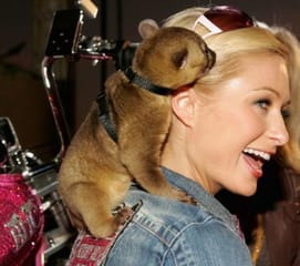 パリス・ヒルトン、所有する超レアな高級車に乗る姿を公開…ピンク偏光パール色「ゴージャス」