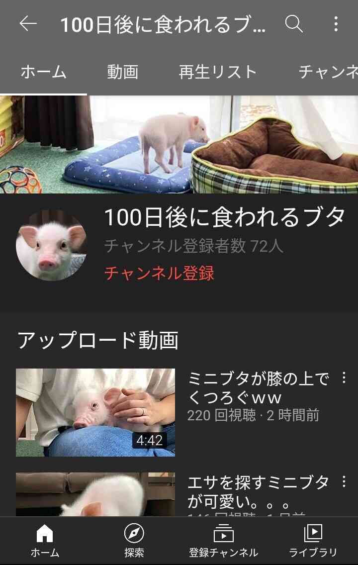 豚バラが好き！！！！！