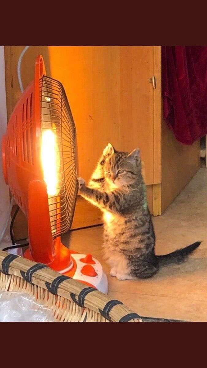 【今年も開催】聞いたことある歴史上の下ネタを書いてみるトピPart2