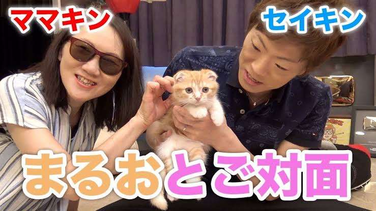 ヒカキン、セイキン好きな人！語りませんか？