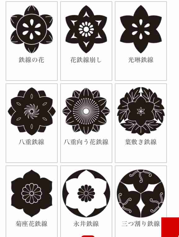 【つる性】クレマチスを育ててる人~【多年草】