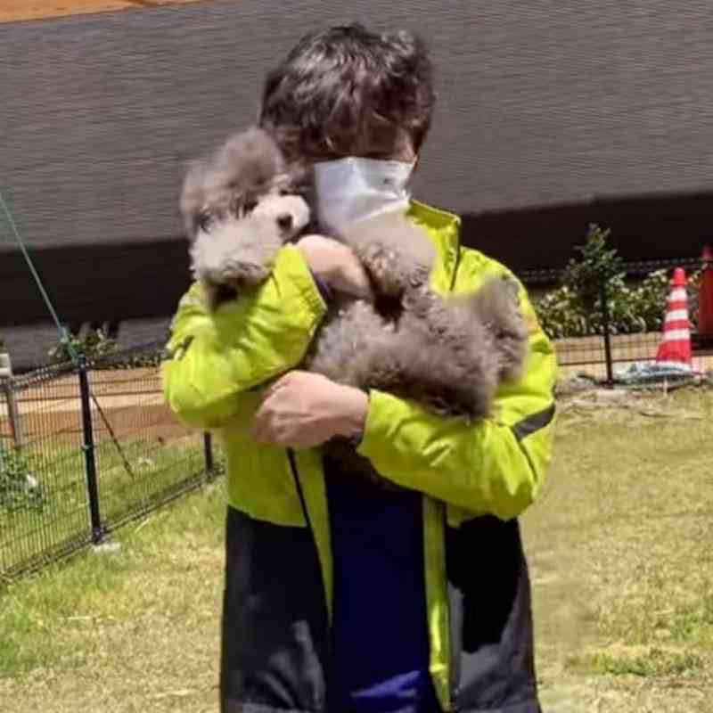 犬のかわいい画像をはるトピ