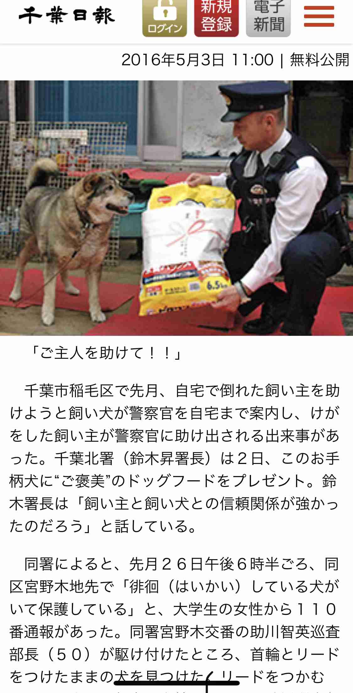 犬のかわいい画像をはるトピ