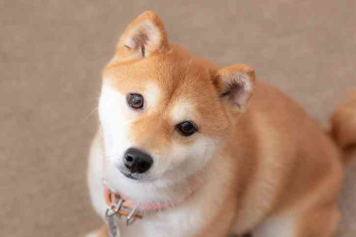 甘えん坊の彼氏or旦那さんって浮気しやすいですか？