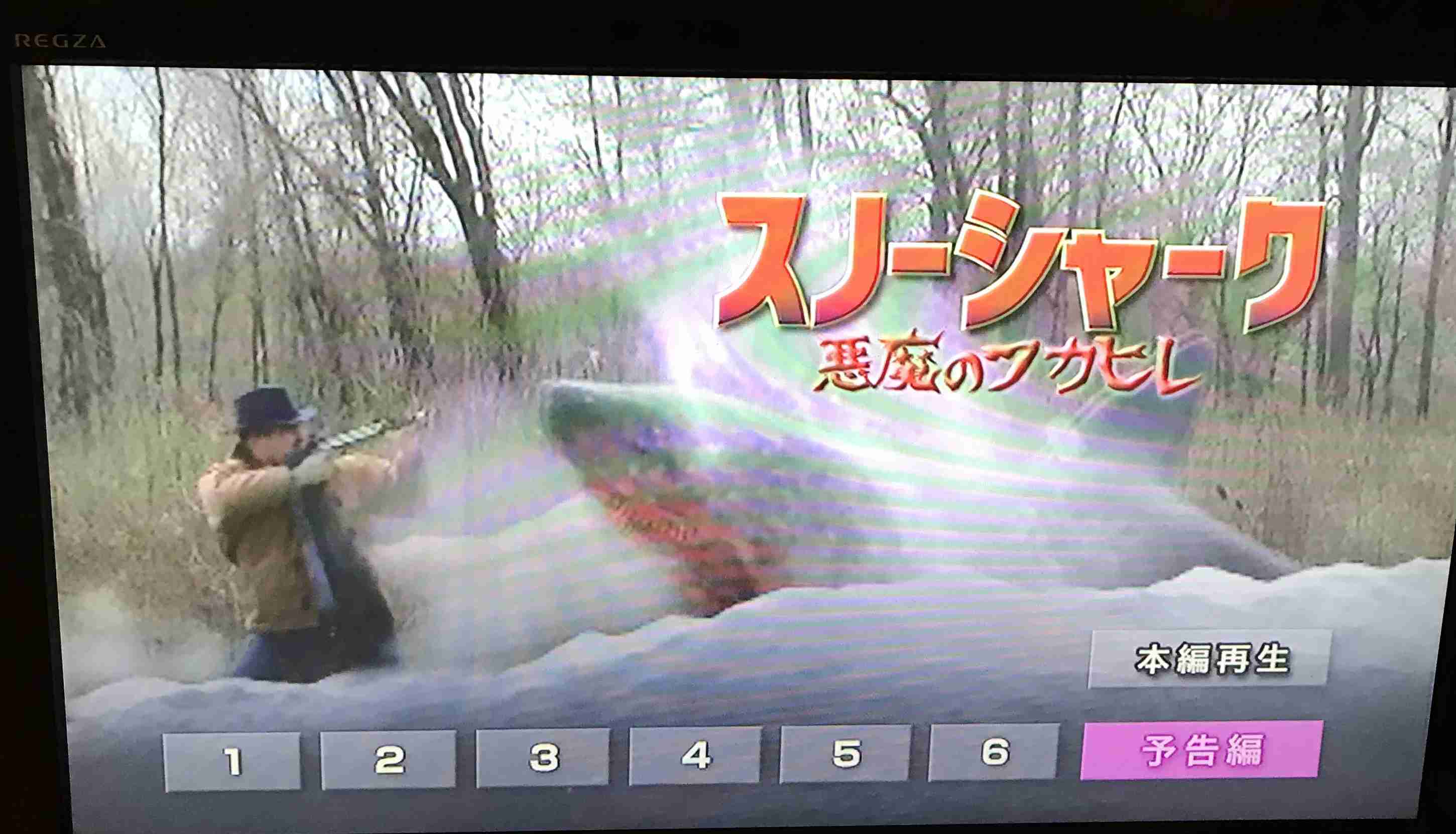 B級パニック映画が好き