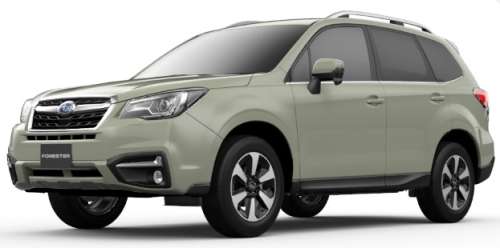 黒、白、グレー、紺、赤以外の車を所有している方