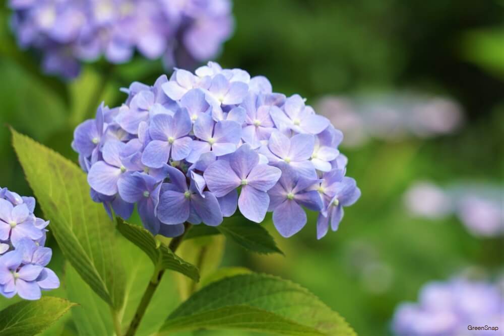 最近癒されたこと