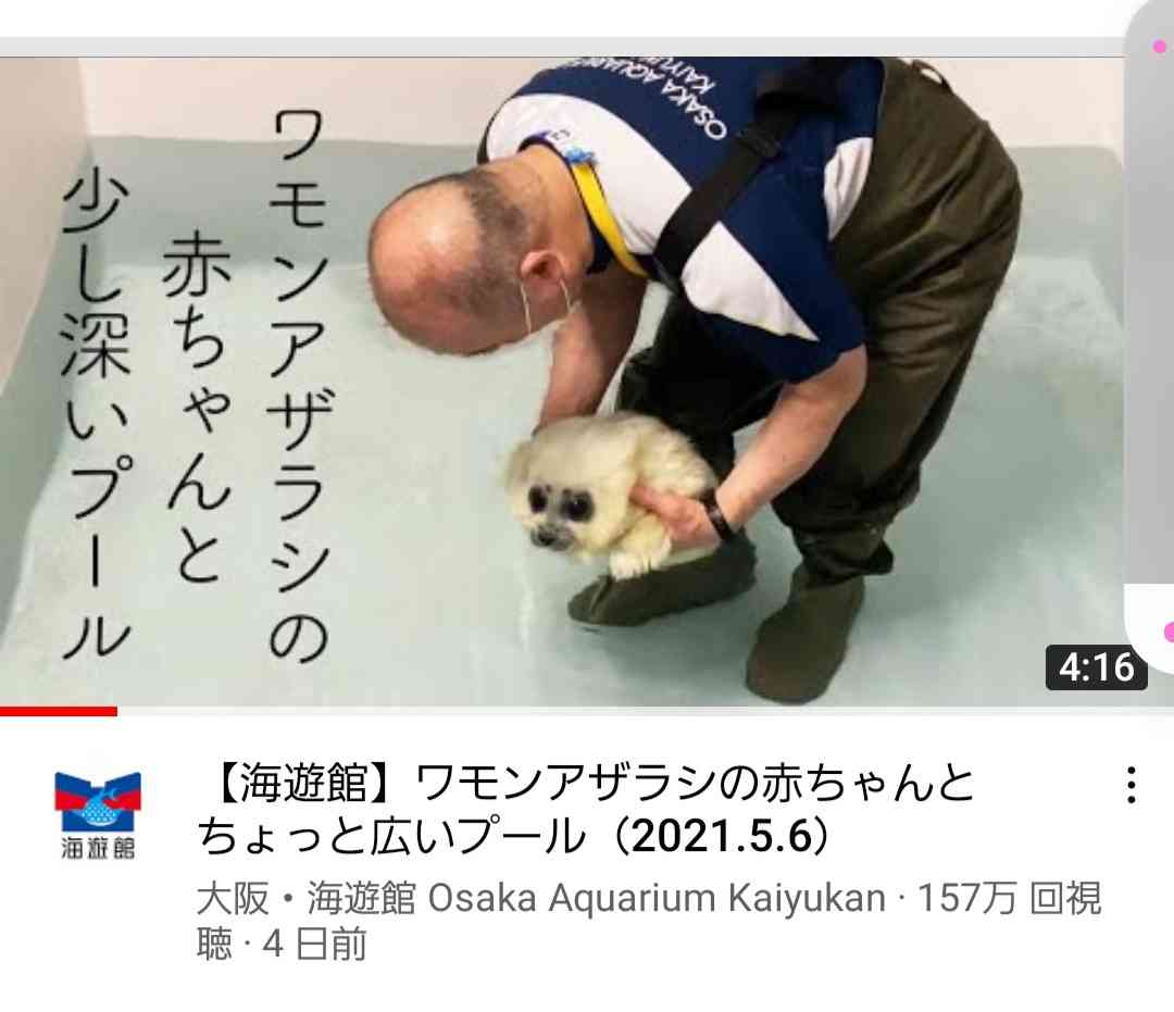 最近癒されたこと