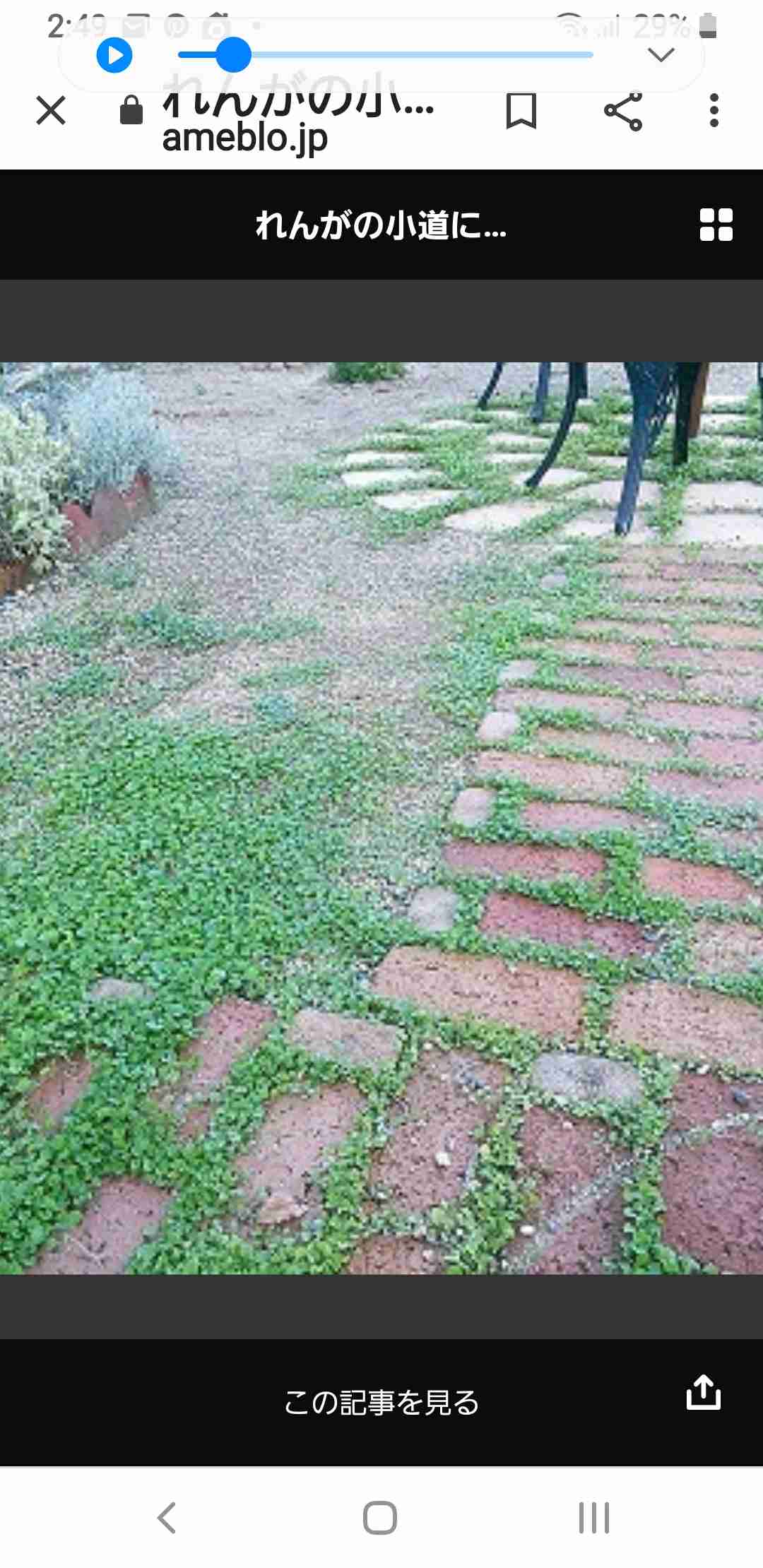 【庭】グランドカバープランツ【植物】