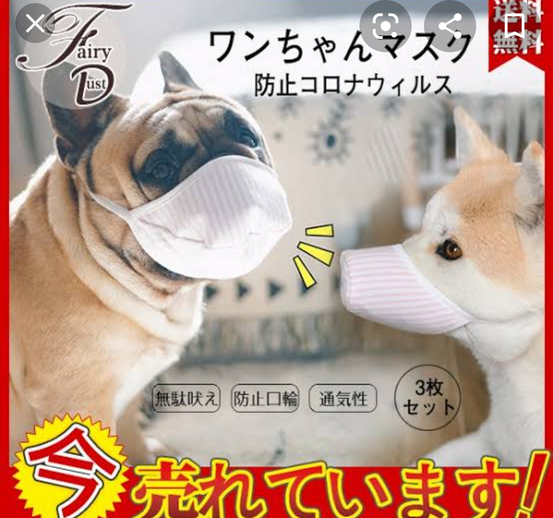 Twitter、「クラブハウス」買収で一時交渉 米報道