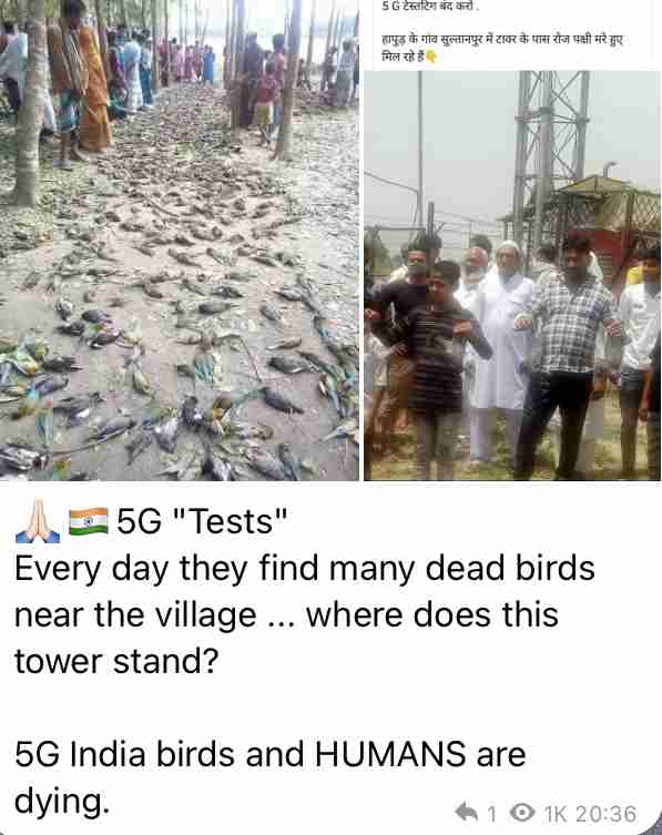 Twitter、「クラブハウス」買収で一時交渉 米報道