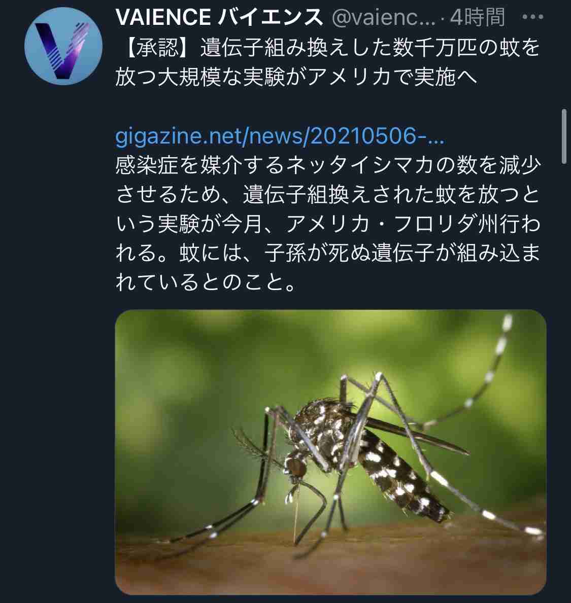 Twitter、「クラブハウス」買収で一時交渉 米報道