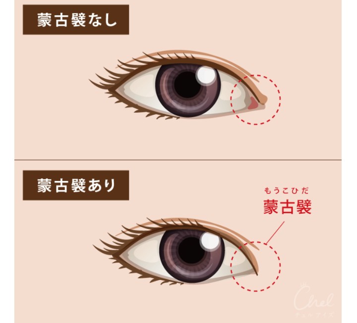 Twitter、「クラブハウス」買収で一時交渉 米報道