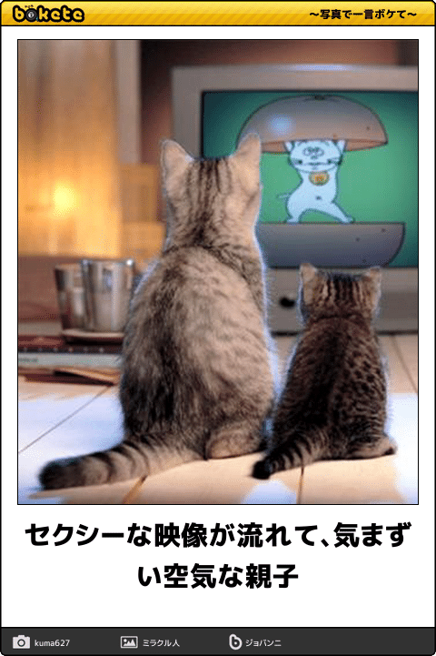 【ネタ可】家族団欒中にテレビでベッドシーンが流れた時の対処法