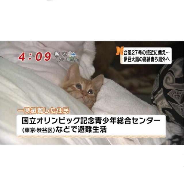 ガルちゃんで好感度が高いと思う画像part2