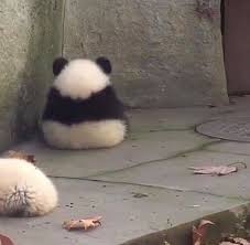 ガルちゃんで好感度が高いと思う画像part2