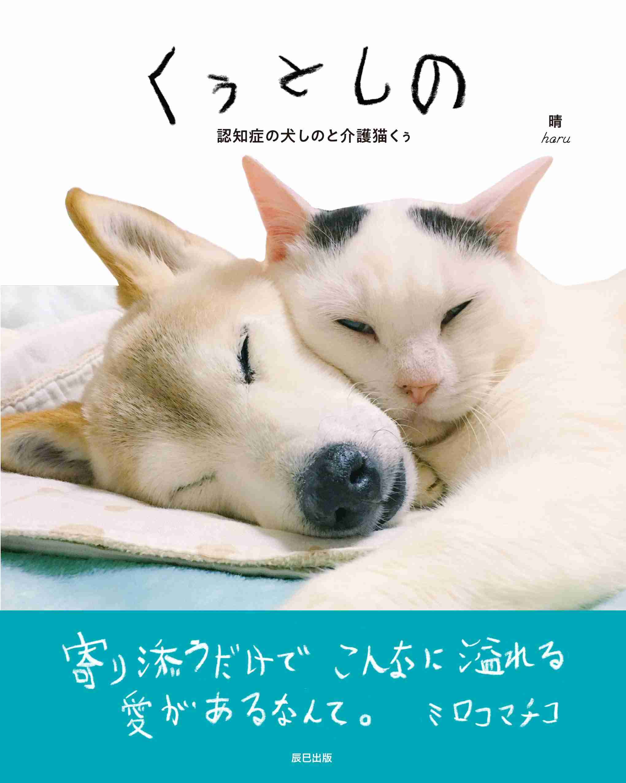 今一番近くにある本のタイトルは?part2