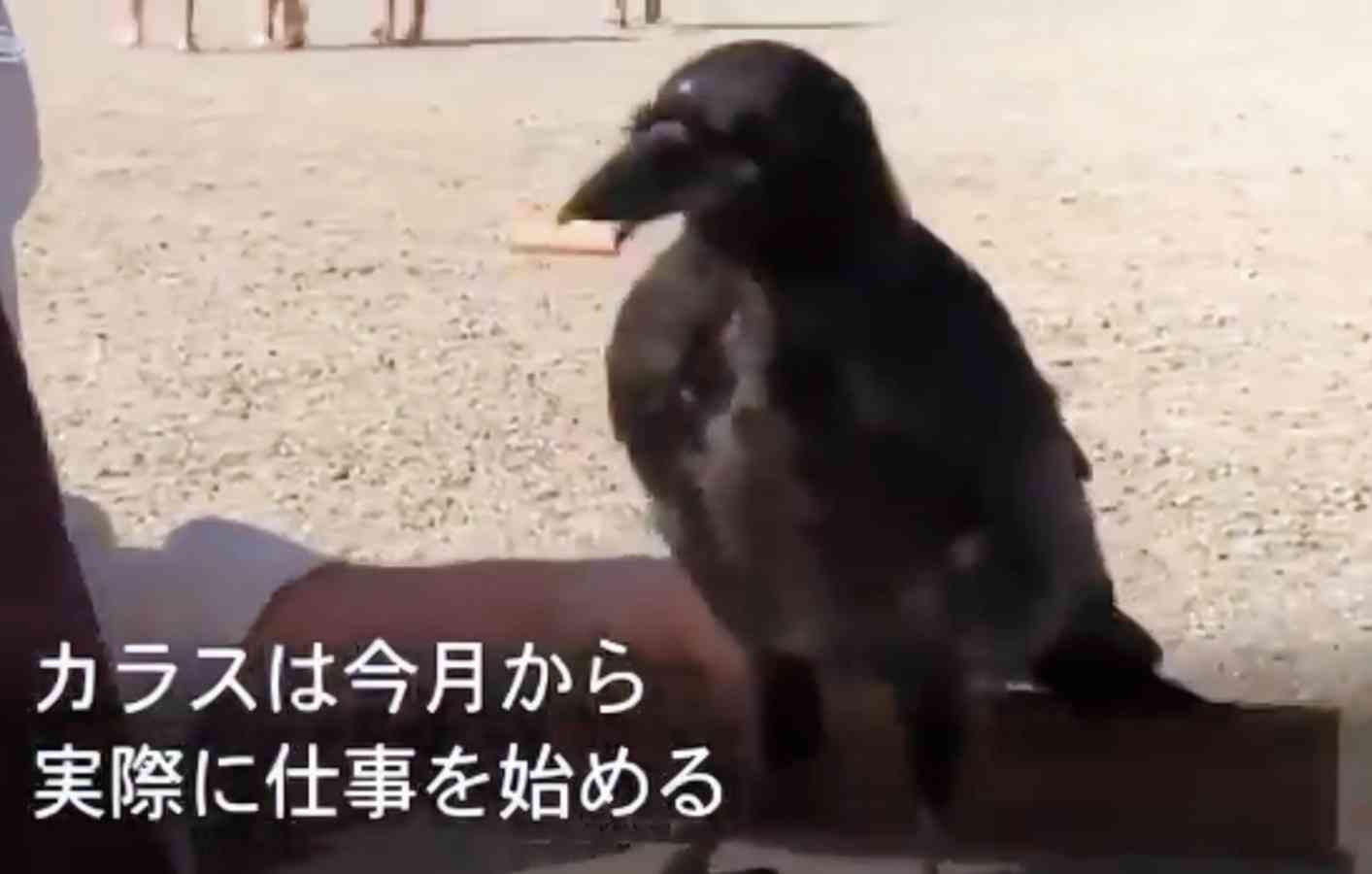 職場で起こった事件Part9