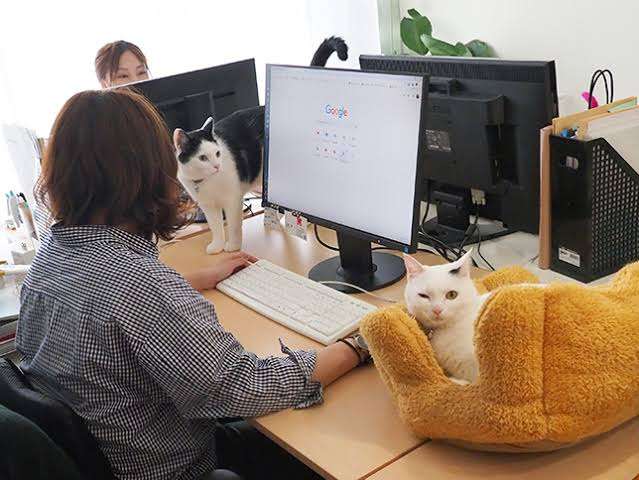 職場で起こった事件Part9
