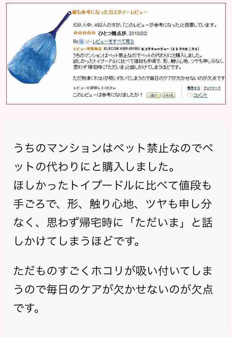 商品レビュー・店舗レビューを頼りにしてる人！