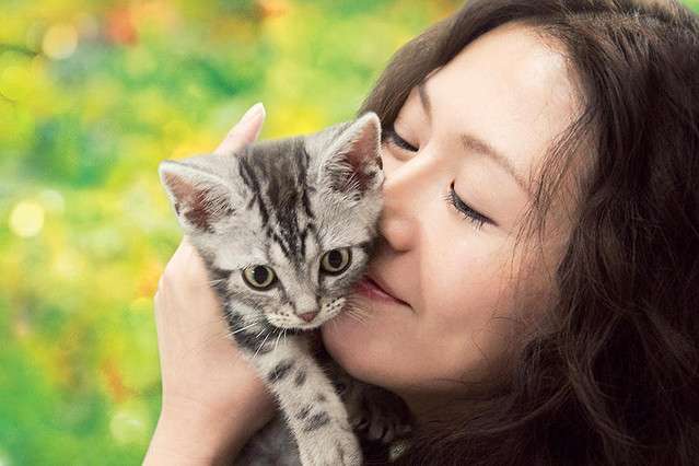 小泉今日子　保護猫を飼うことになったきっかけ　愛猫命日に重なった偶然の出来事