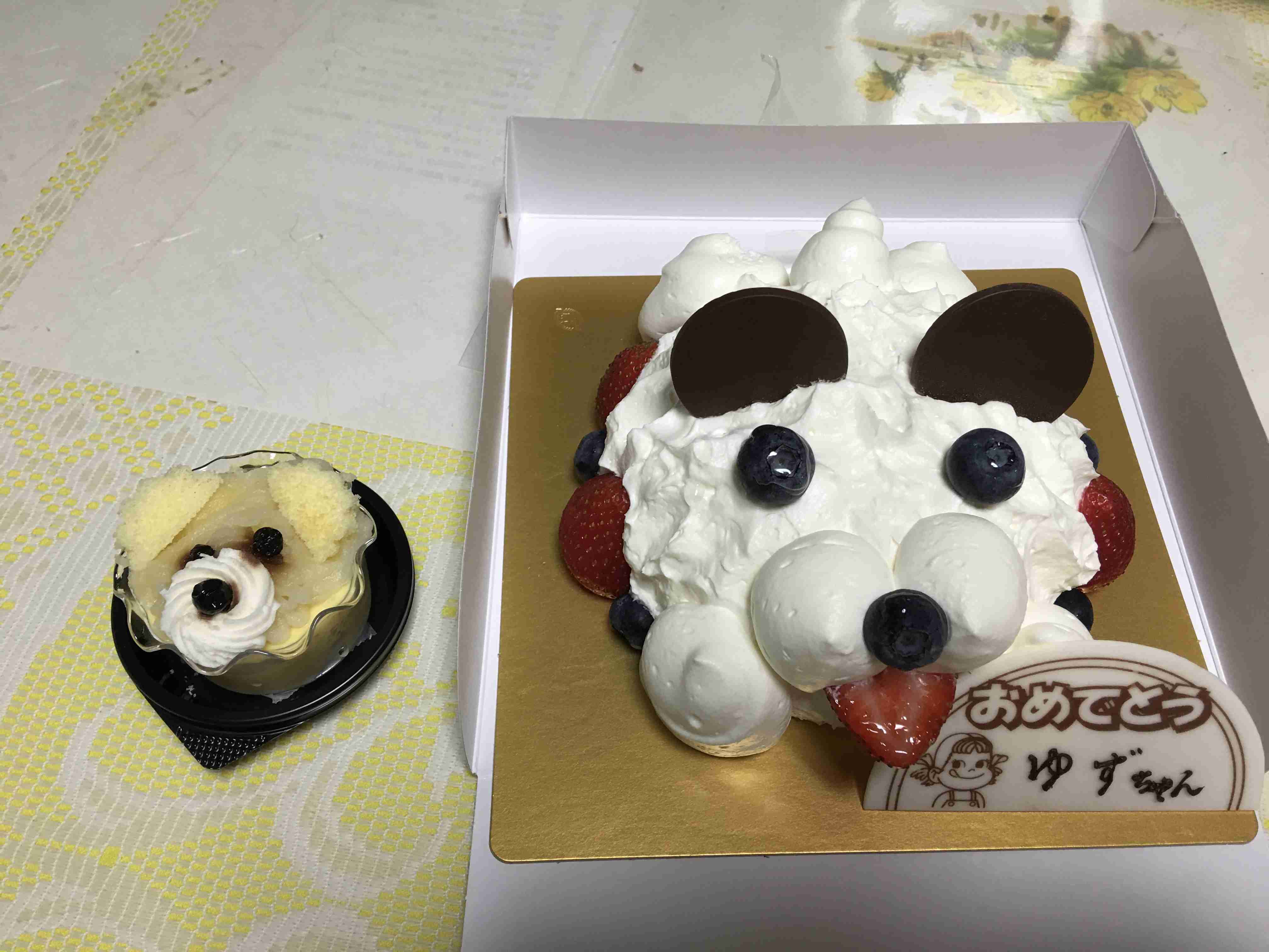 ペットの誕生日何しますか？
