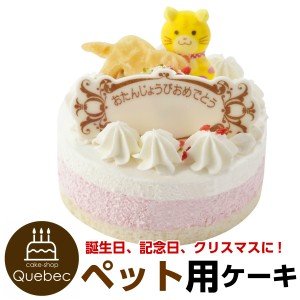 ペットの誕生日何しますか？