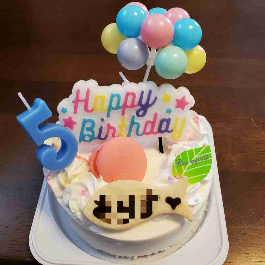 ペットの誕生日何しますか？