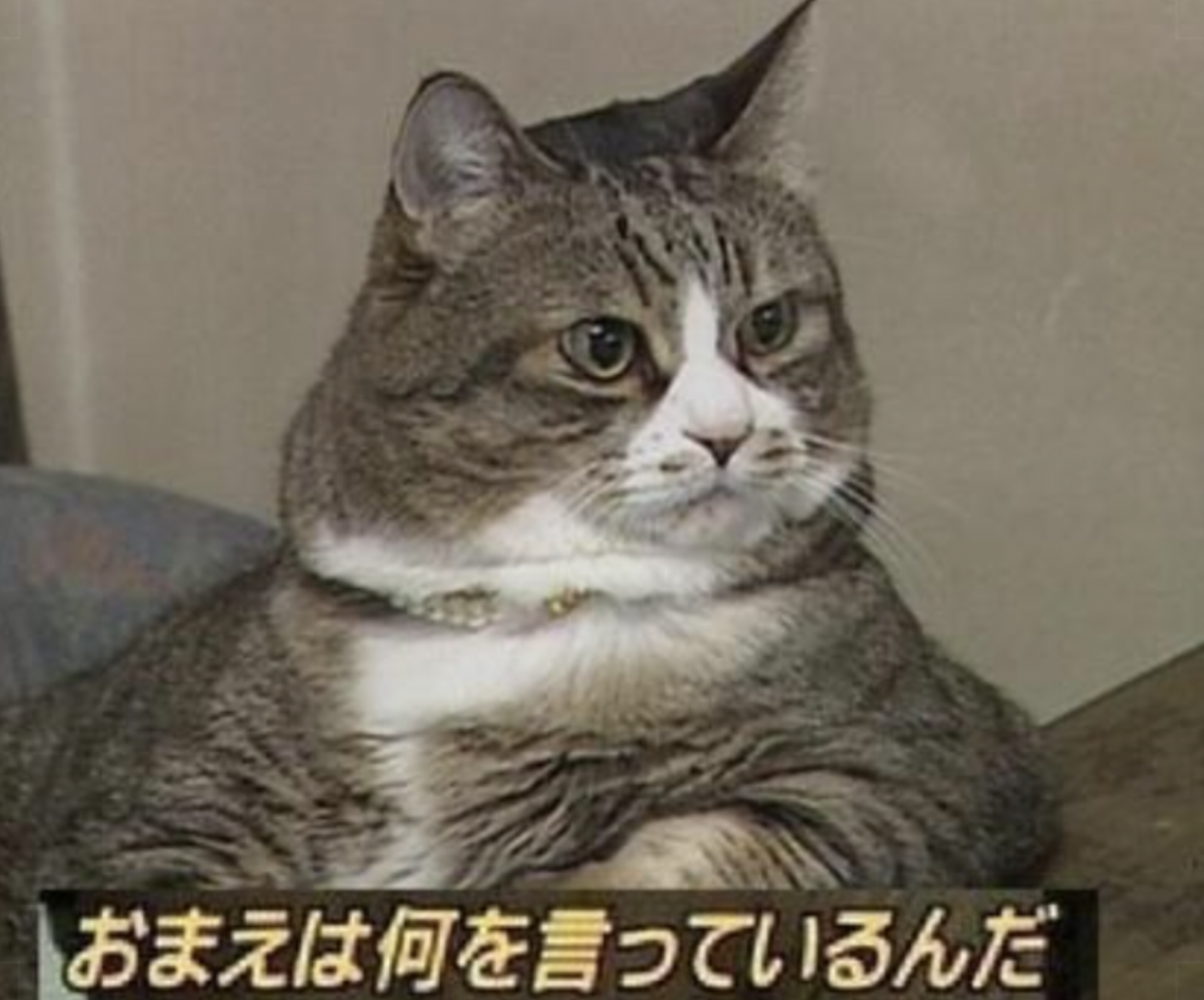 コロナヒステリー被害者の会part7