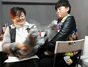 ずっと見ていられるGIF画像ください!part2