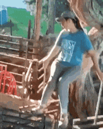 ずっと見ていられるGIF画像ください!part2