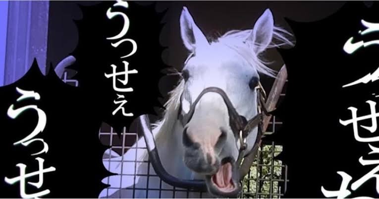 今このブーム凄いよね!と思うもの