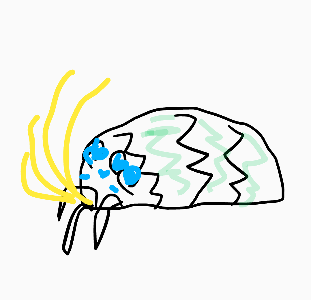 【お絵かき】30秒で描いて何の絵か当ててもらうトピ