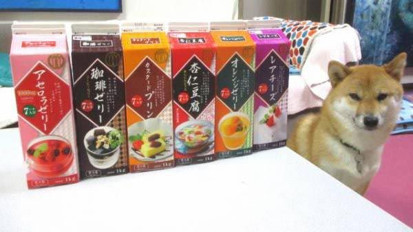 好きな紙パックドリンク！