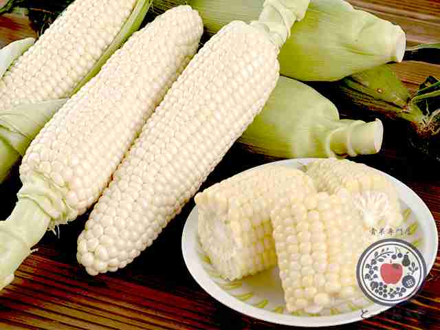 買ったことのない野菜