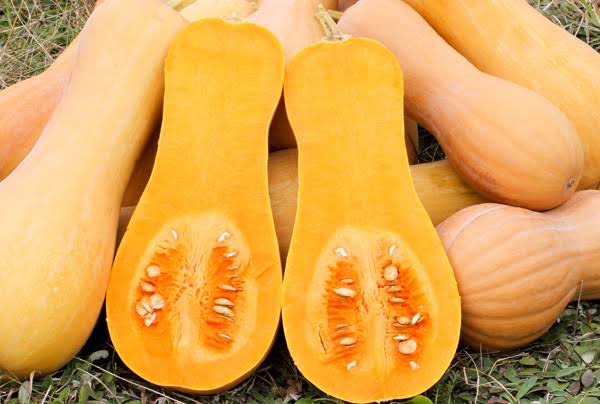 買ったことのない野菜