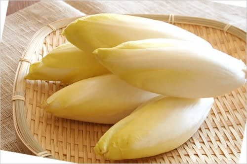 買ったことのない野菜