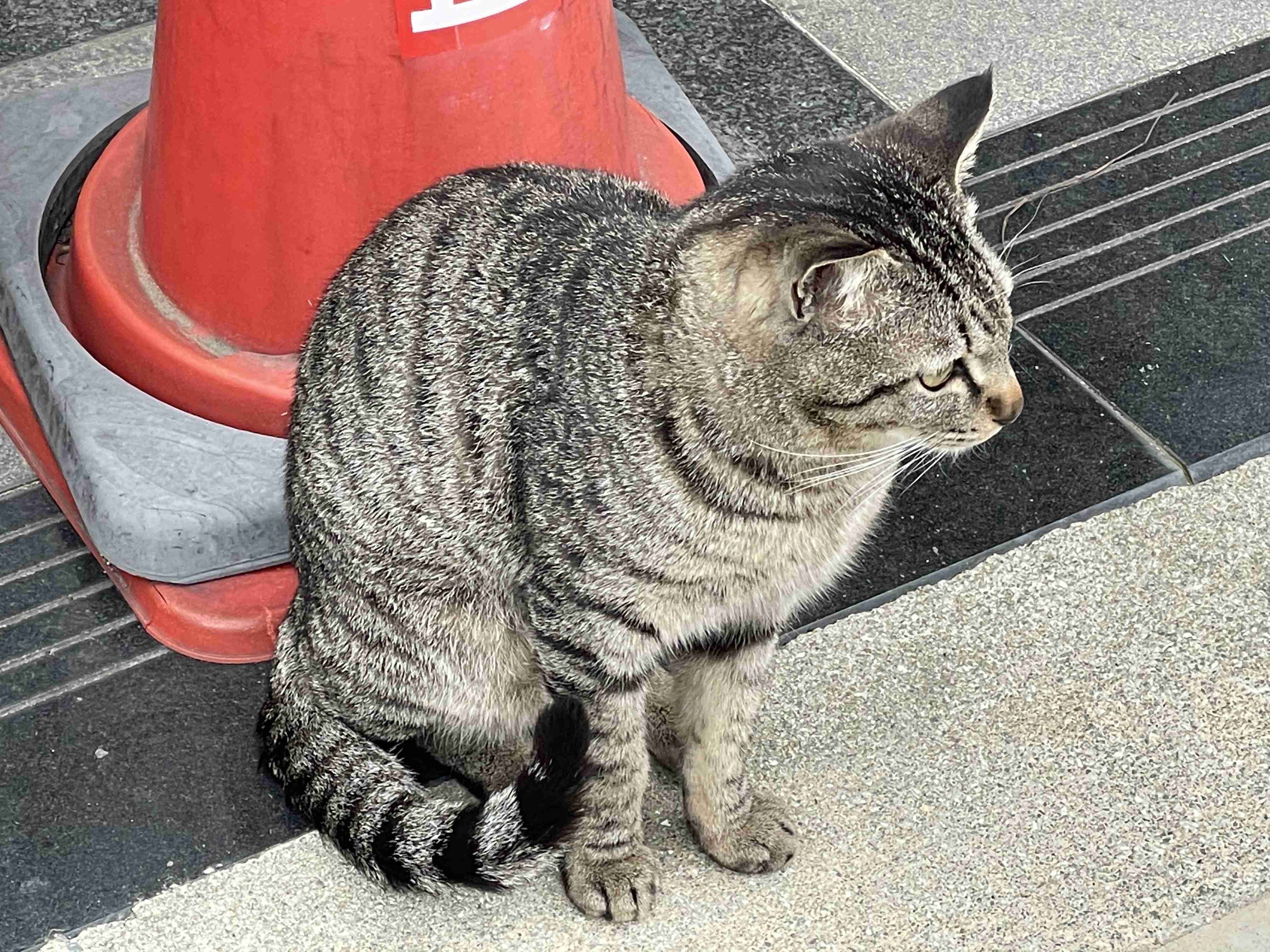 【平和トピ】GWに起こった、ちょっと嬉しかった出来事は?【ささやか】