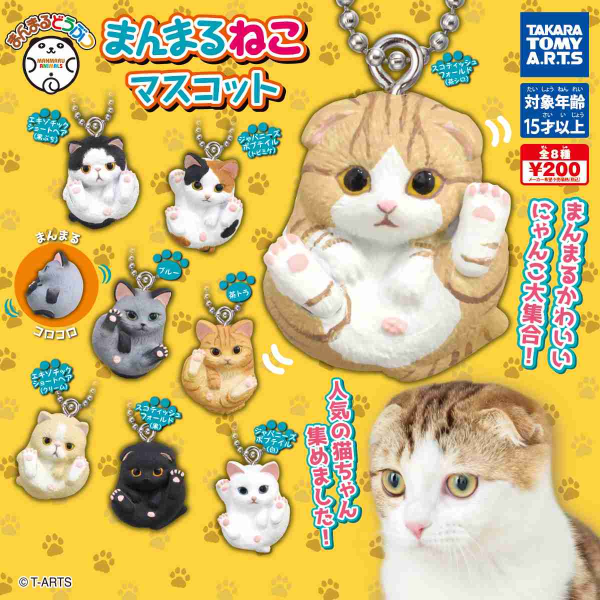 【平和トピ】GWに起こった、ちょっと嬉しかった出来事は?【ささやか】