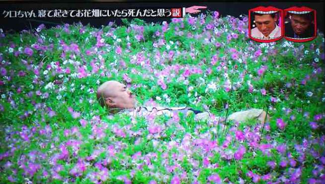 色々な花畑が見たい ガールズちゃんねる Girls Channel